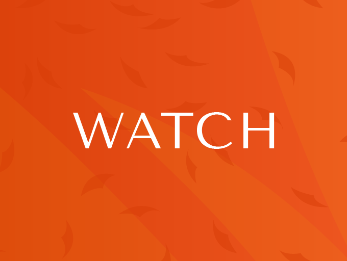 Watch Watch