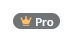 Pro icon Icon has an image of a gold crown the the word Pro