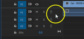 Expanding audio track in Adobe Premiere Pro Expanding audio track in Adobe Premiere Pro