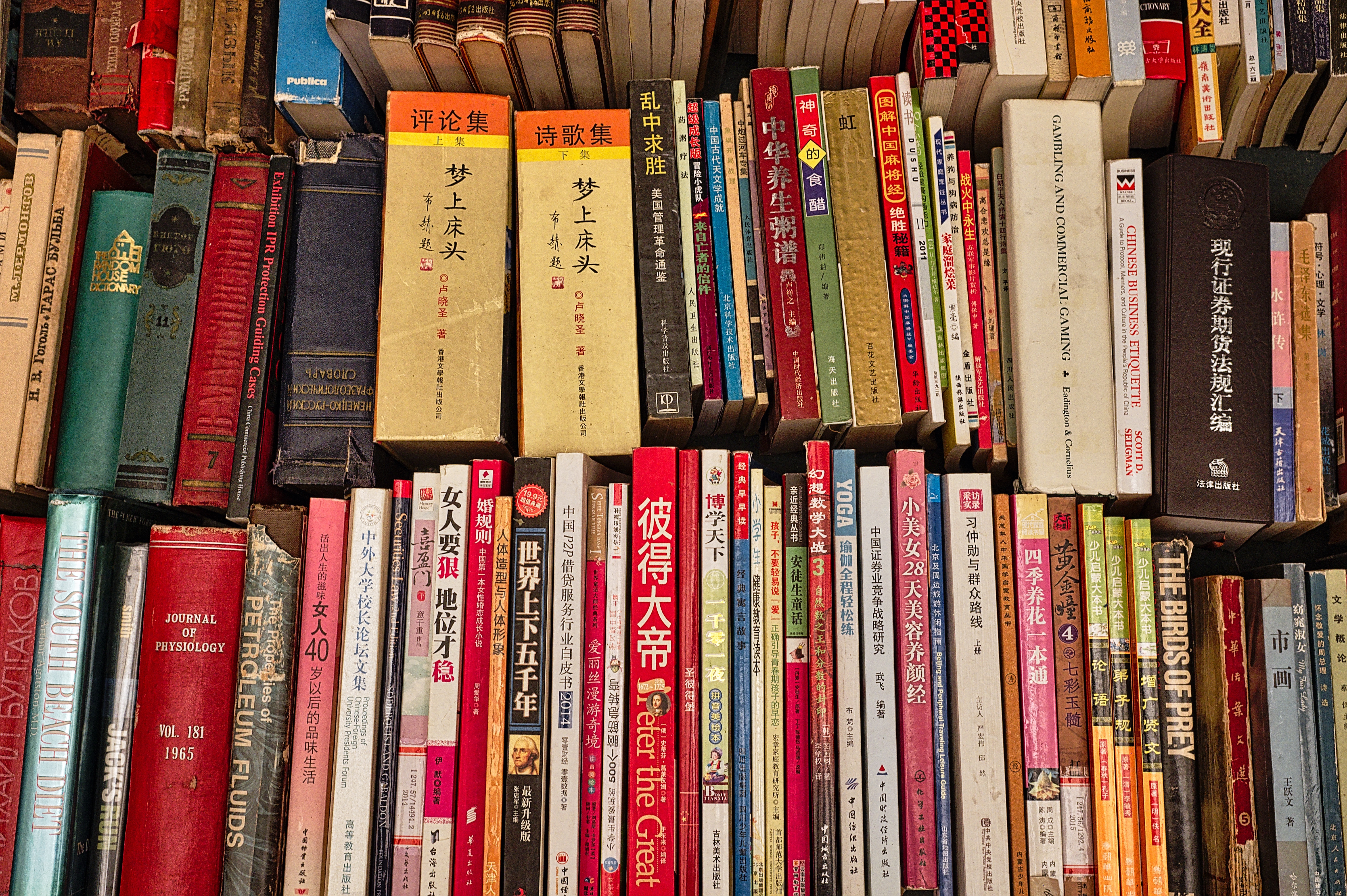 Photo of chinese books 