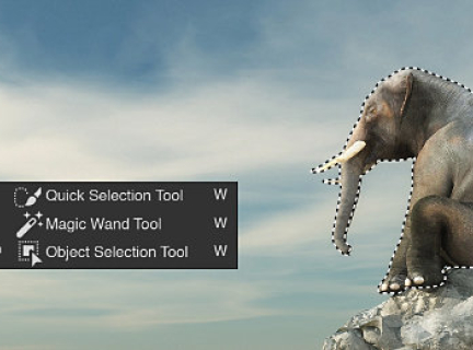 editing an elephant photo in photoshop