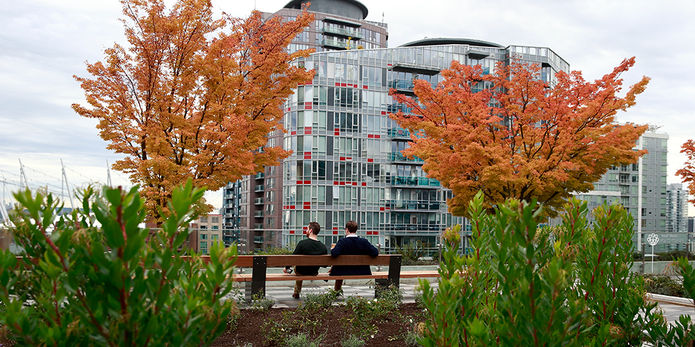 Photograph of rooftop garden looking south-west